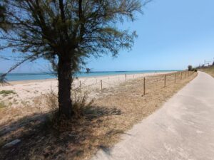 ecospiaggia22026-06-29