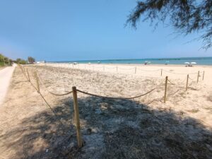 ecospiaggia32026-06-29